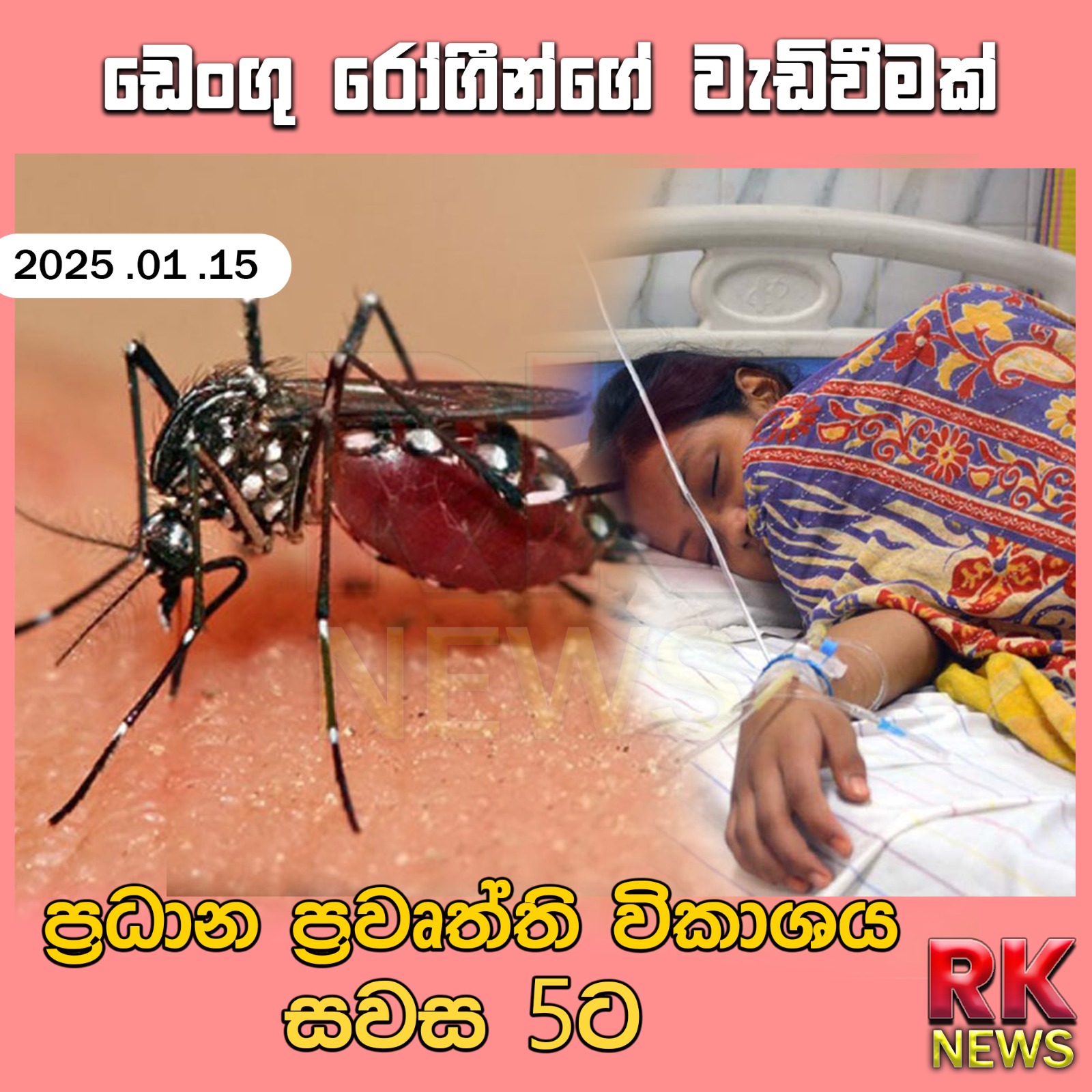 ඩෙංගු රෝගීන්ගේ වැඩිවීමක්